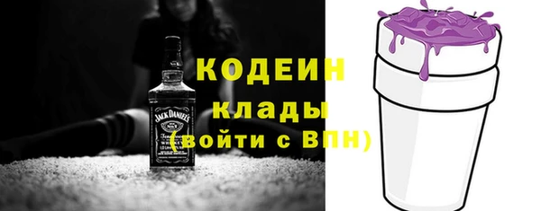 молекула духа Белоозёрский