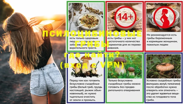 ГАЛЛЮЦИНОГЕННЫЕ ГРИБЫ Балабаново