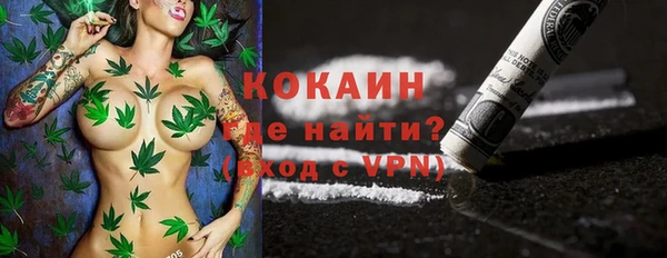 шишки Баксан