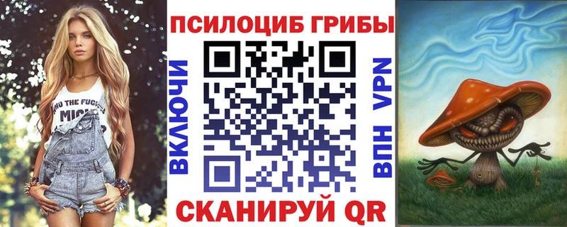 Псилоцибиновые грибы GOLDEN TEACHER  купить  цена  блэк спрут маркетплейс  Куртамыш 